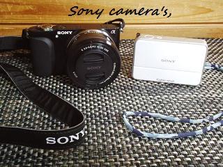 Sony camera’ｓ.jpg